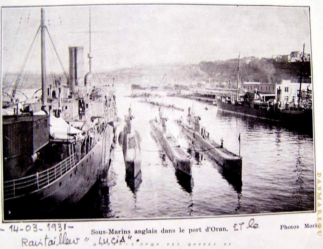 PO b- 309.jpg
